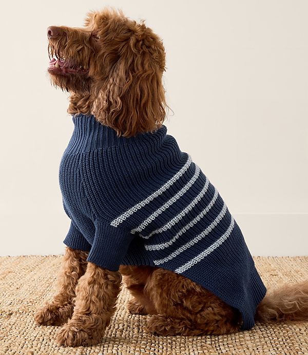 Haven Well Within Organic Cotton Striped Dog Sweater