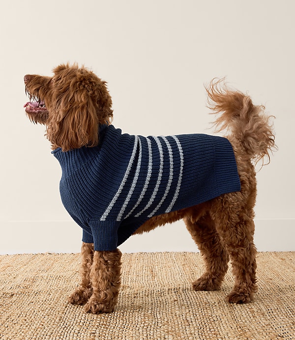 Haven Well Within Organic Cotton Striped Dog Sweater