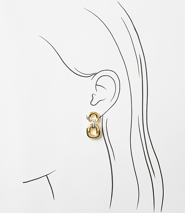 Mixed Metal Link Drop Earrings