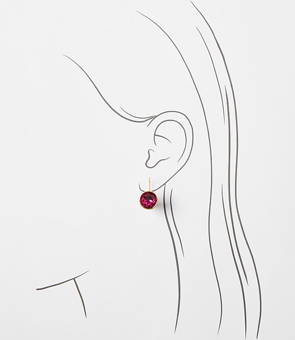 Sparkle Pull Through Earrings