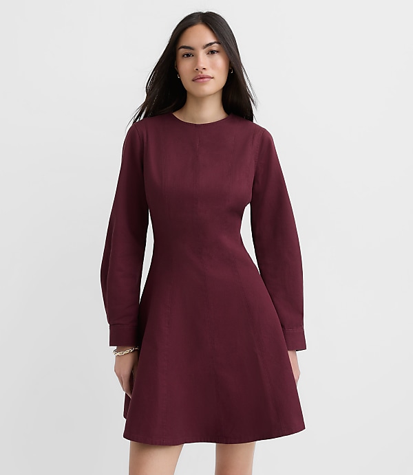 Seamed Barrel Sleeve Mini Dress