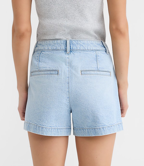 Curvy Palmer Denim Shorts in Light Vintage Wash
