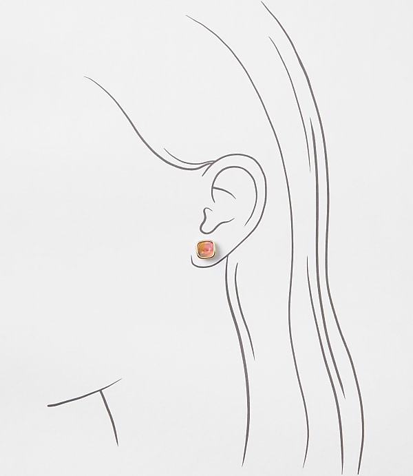 Multicolored Tortoiseshell Print Stud Earring Set