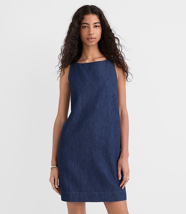 Petite Chambray Boatneck Mini Dress