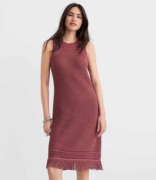 Petite Fringe Pointelle Mini Sweater Dress