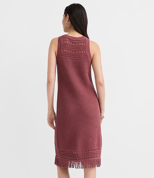 Fringe Pointelle Mini Sweater Dress
