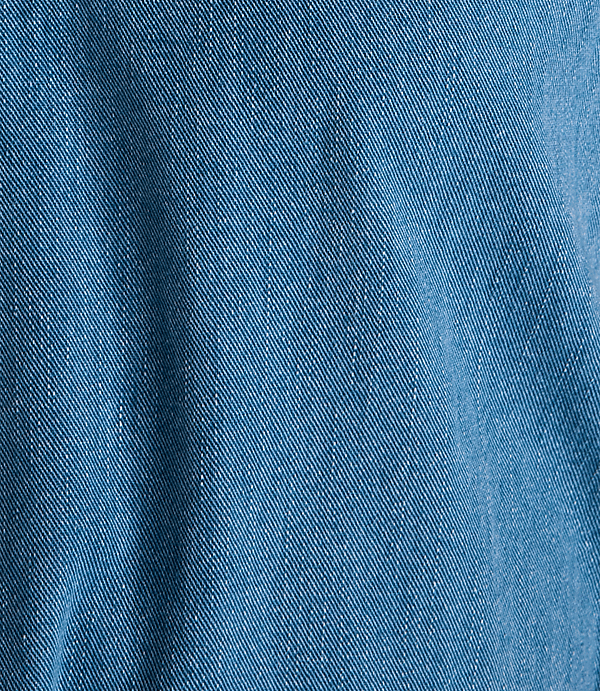 Haven Well Within Organic Cotton Denim Shorts