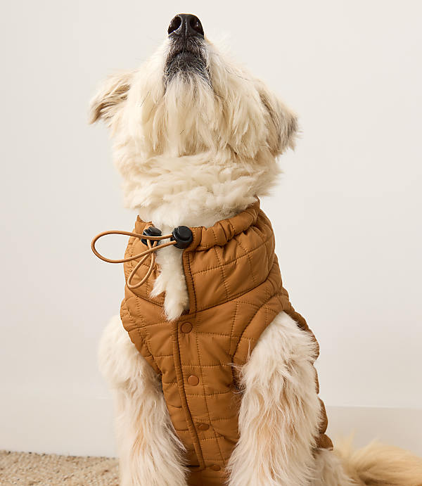 Haven Well Within Quilted Dog Puffer