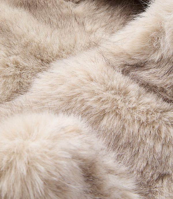 Soft, light brown fur fills the foreground, with subtle shadows and highlights creating a sense of depth in the background.