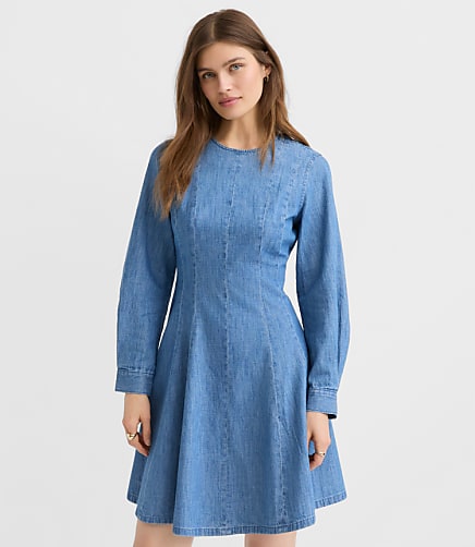 Petite Chambray Seamed Barrel Sleeve Mini Dress