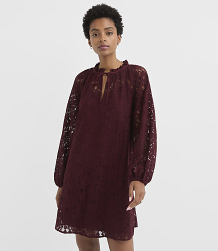 Floral Lace Tie Neck Mini Dress