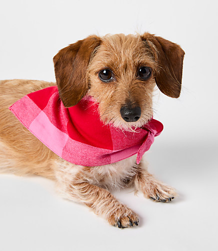 Buffalo Plaid Dog Bandana - Chateu Rose