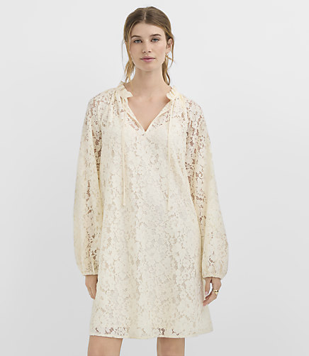 Petite Floral Lace Tie Neck Mini Dress