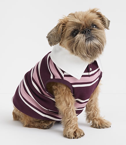 Lou & Grey Dog Rugby Shirt