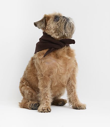 Dog Bandana