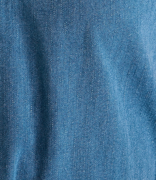 Haven Well Within Organic Cotton Denim Shorts