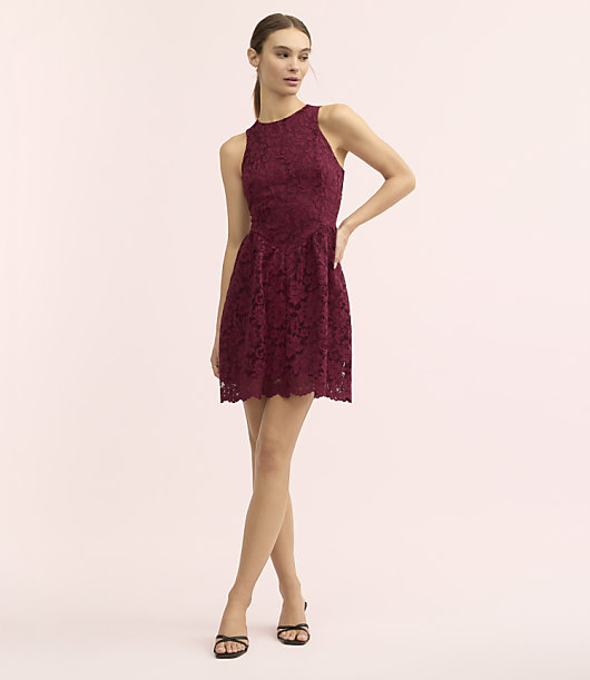 Loft Lately Floral Lace Mini Dress