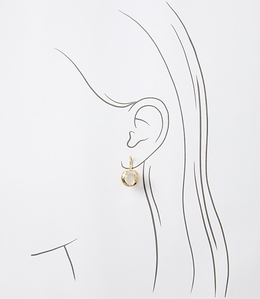 Sparkle Pull Through Earrings