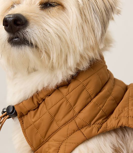 Haven Well Within Quilted Dog Puffer