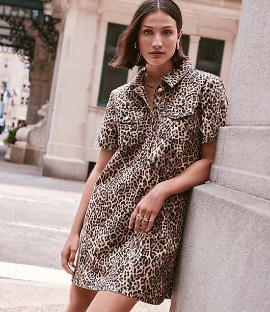 Leopard Print Mini Pocket Dress