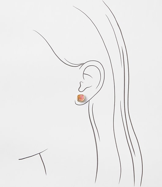 Multicolored Tortoiseshell Print Stud Earring Set