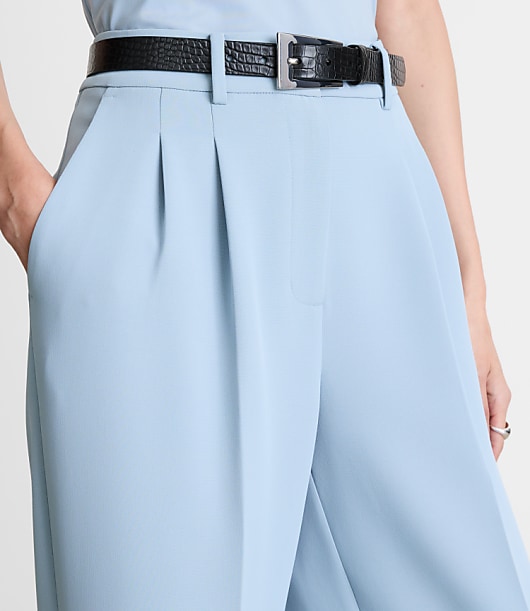 Petite LOFT Versa Crepe Drape Pleated Relaxed Straight Pants