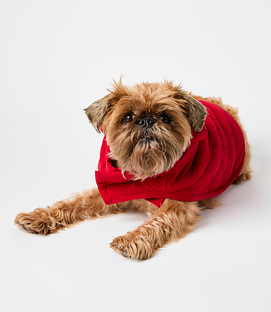 Dog Puffer Jacket