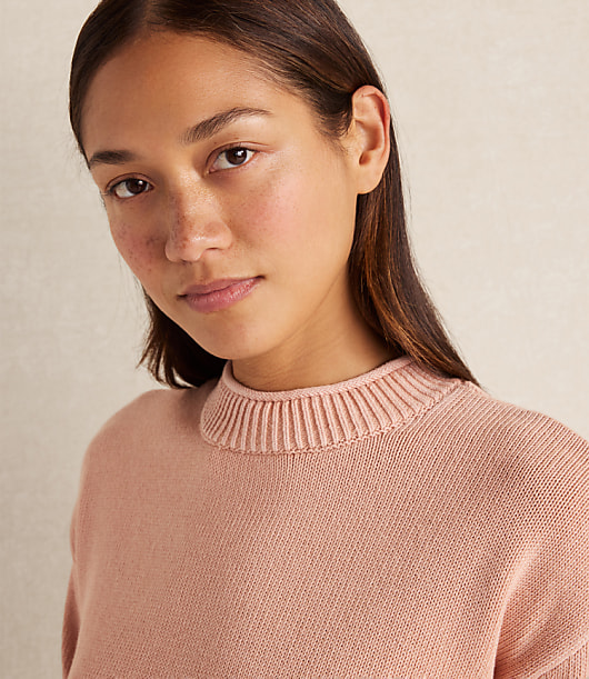Haven Well Within Organic Cotton Stripe Roll Neck Sweater