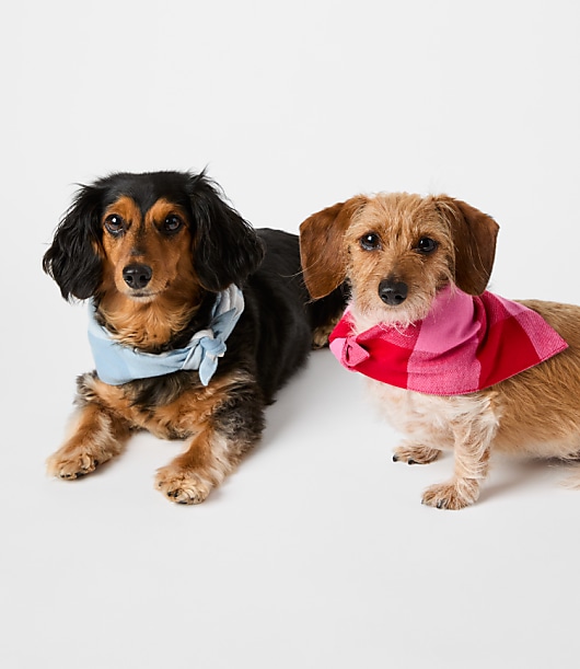 Buffalo Plaid Dog Bandana - Chateu Rose