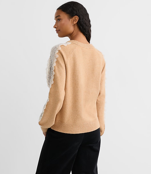 Petite Lace Sleeve Sweater