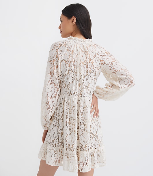 Petite Floral Lace Flounce Mini Dress