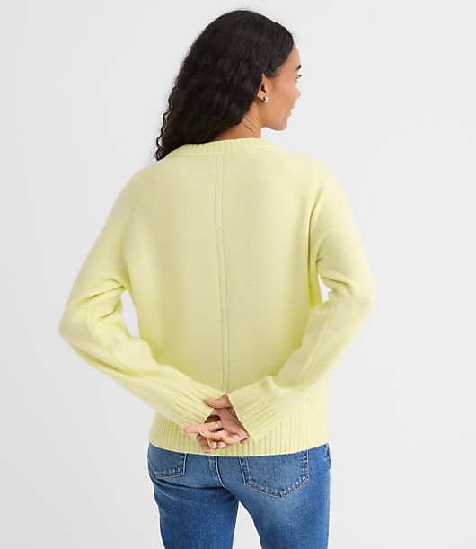 Petite Seamed Raglan Sweater