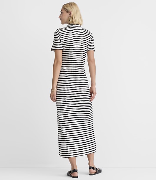Petite Striped Pointelle Collared Midi Dress