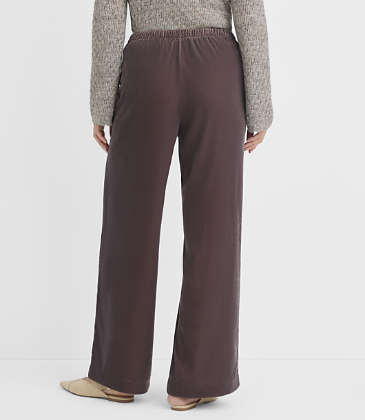 Sawyer Pull On Pants in Velvet