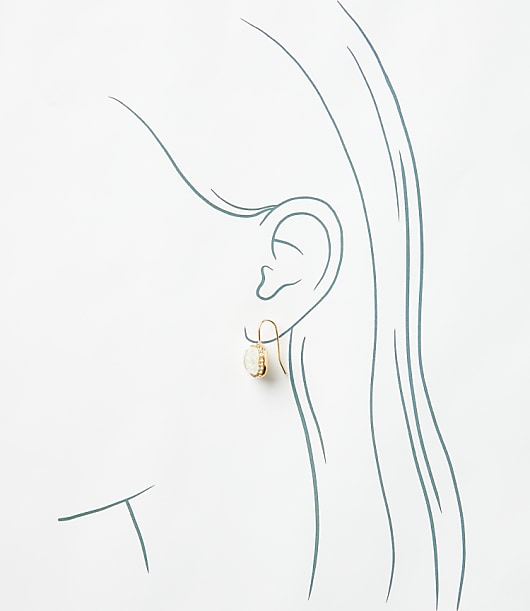 Pave Bordered Pull Through Earrings