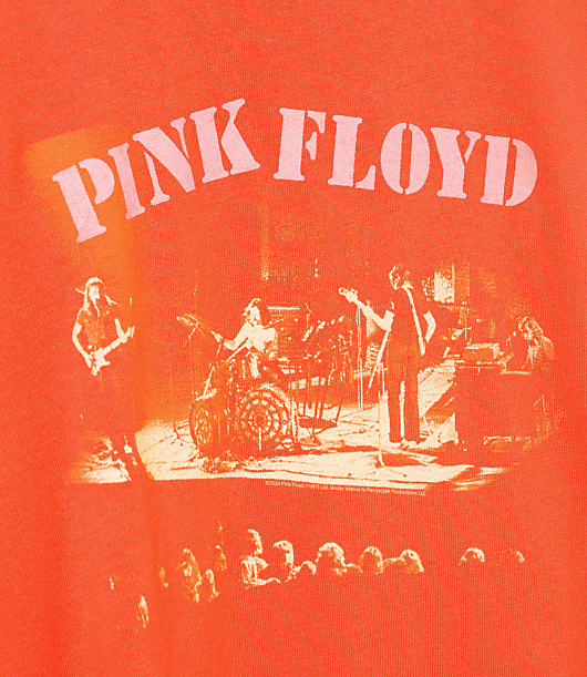 Junk Food Pink Floyd On Stage Vintage Tee