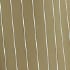 Piped Sawyer Pull On Pants in Pinstripe
