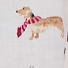 Lou & Grey Holiday Dog Pajama Pants