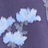 Bluebell Keyhole Mock Neck Blouse